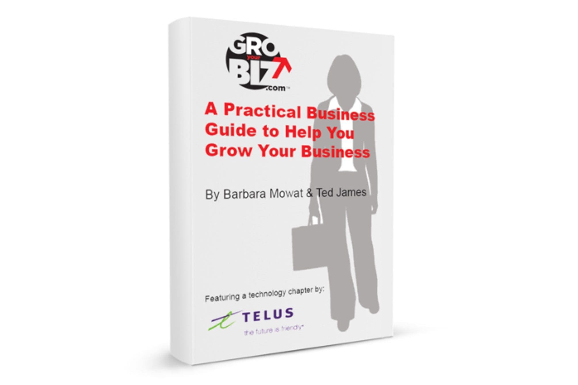 GroYourBiz E-Guide A Guide to Grow Your Business